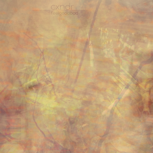 feelgoodbad album cover